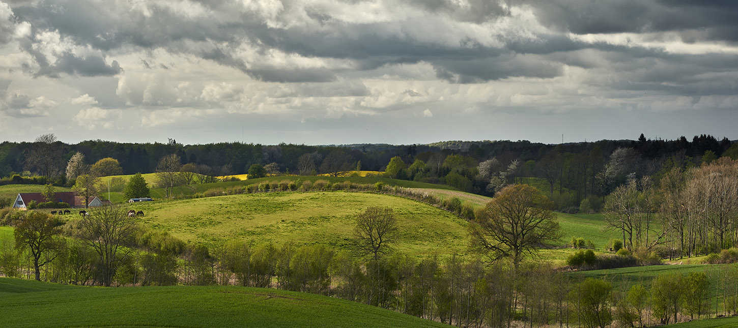 Udsigt over Højes Dong bakker
