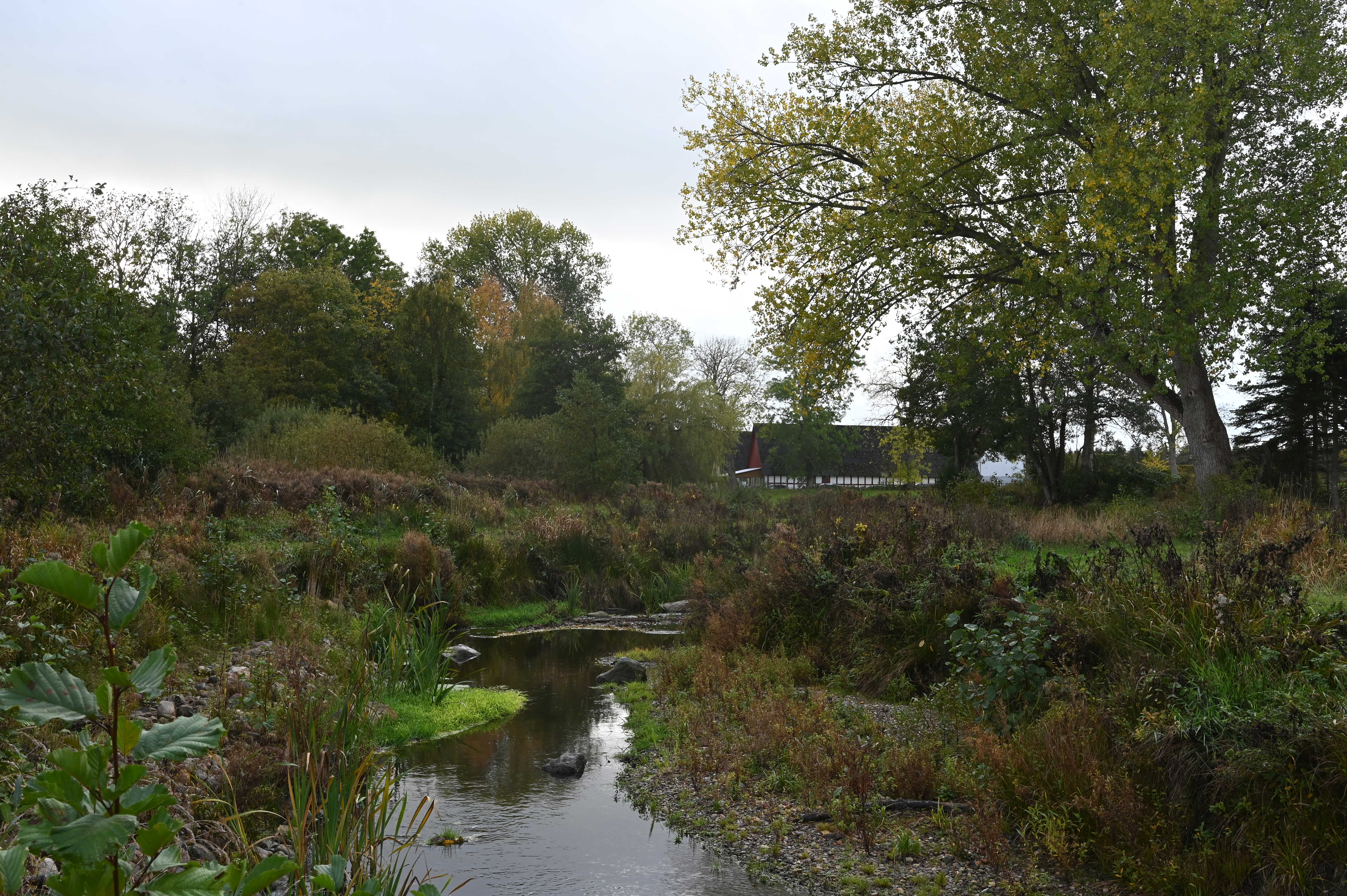I forgrunden et lavvandet vandløb og i baggrunden en rød/hvid bindingsgsværksgård. Mange træer i kanterne