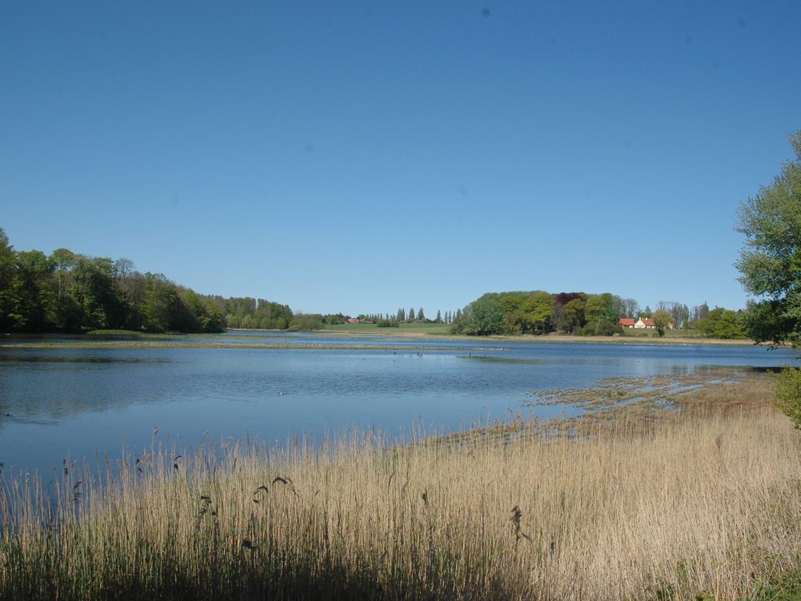 Vådområde ved Valdemars Slot