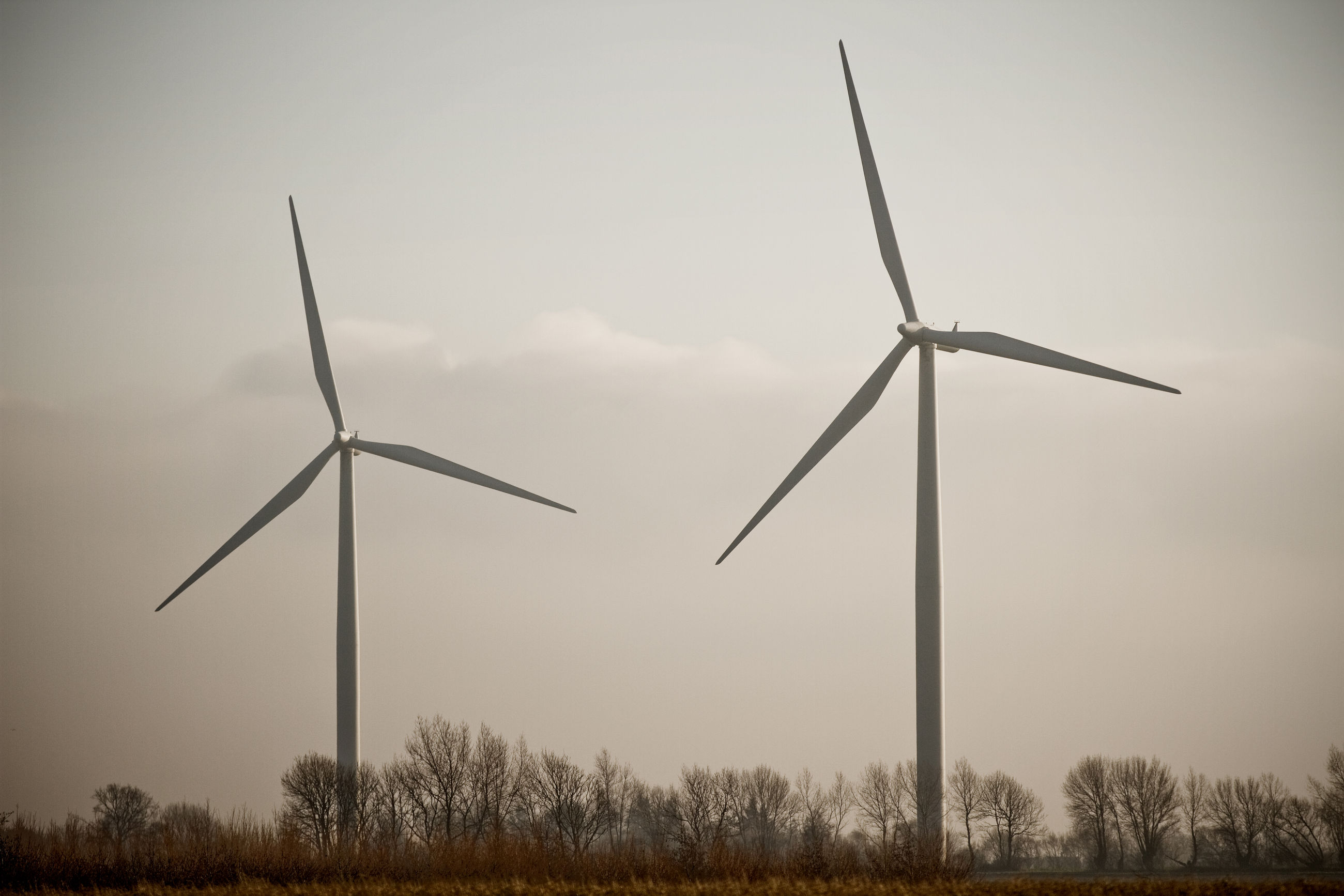To vindmøller mod en diset himmel