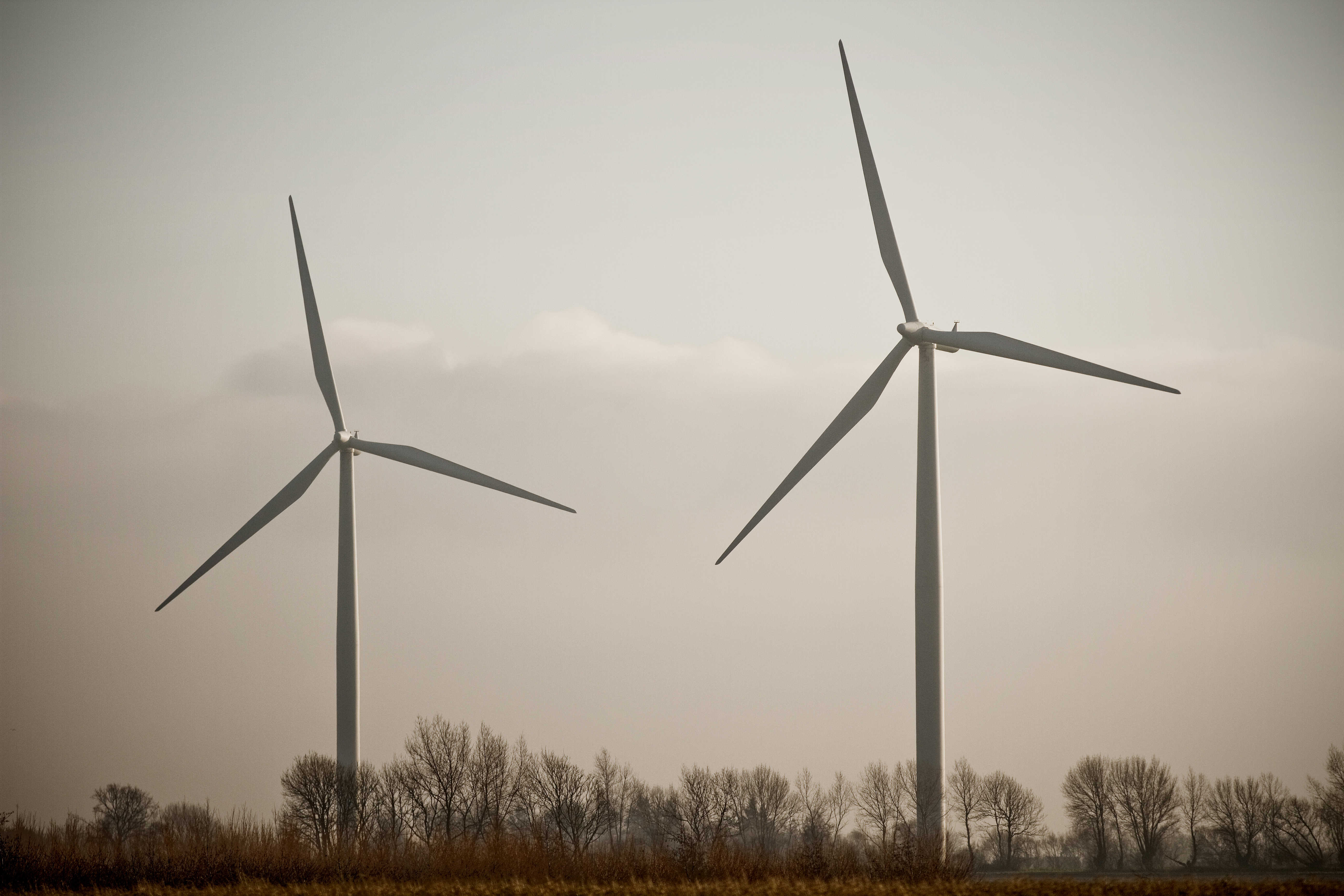 To vindmøller mod en diset himmel
