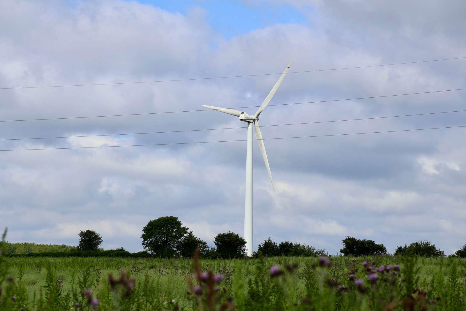 Vindmølle med blomster i forgrunden
