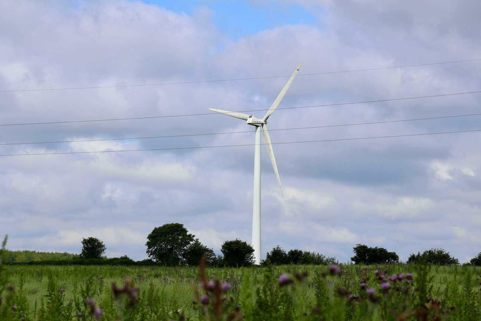 Vindmølle med blomster i forgrunden