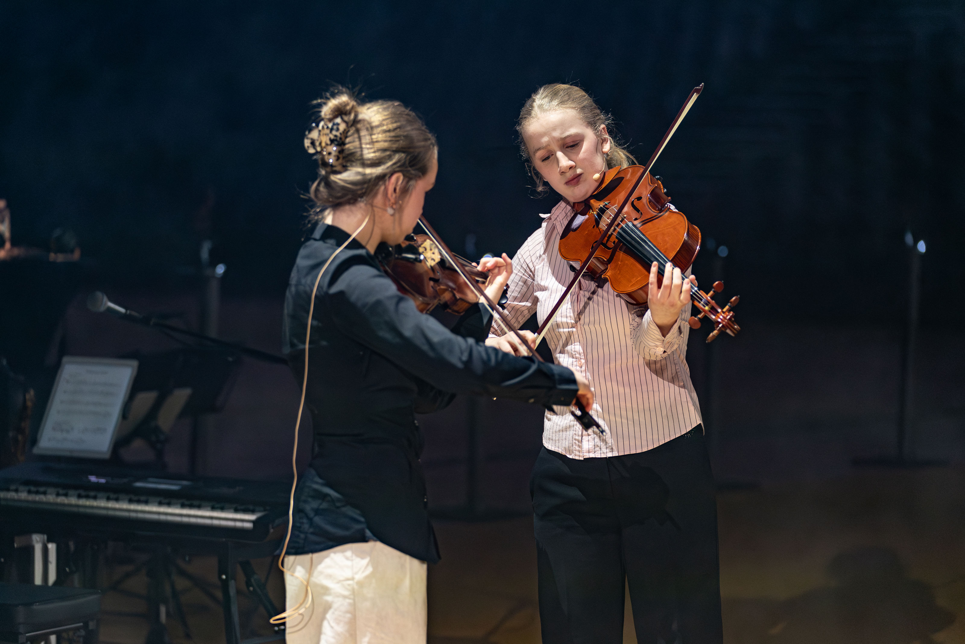 violiner, prisfest