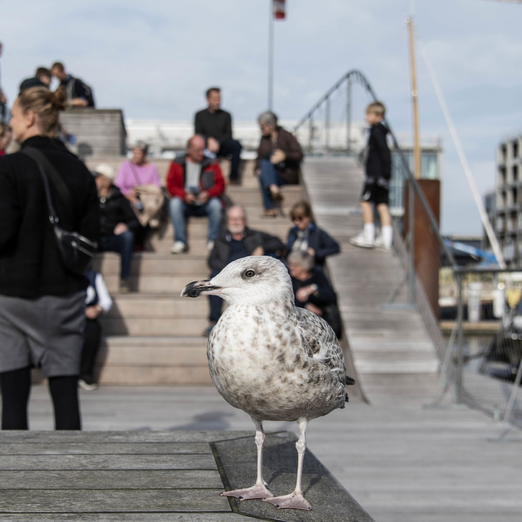 Havnevandring ved bølgen i 2023