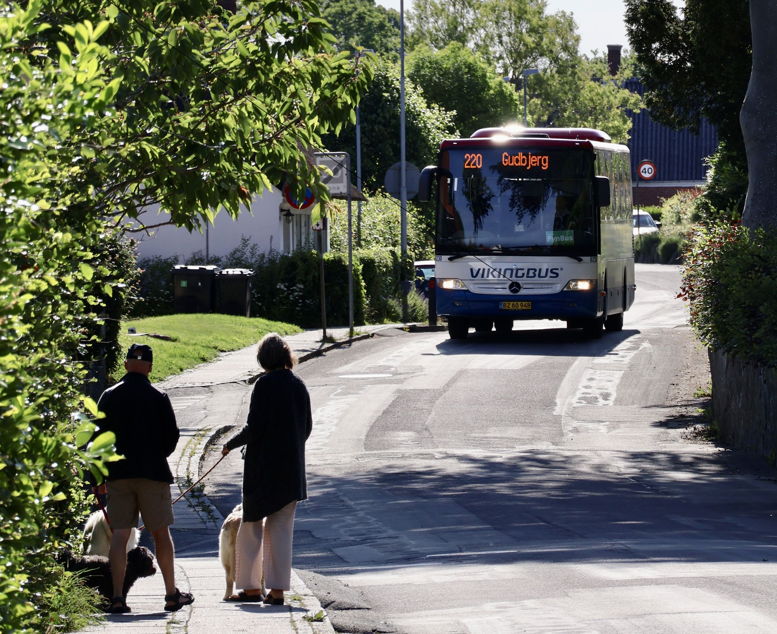 Bløde trafikanter, som lufter hunde, og en modkørende bus - på Bergmannsvej på Thurø.