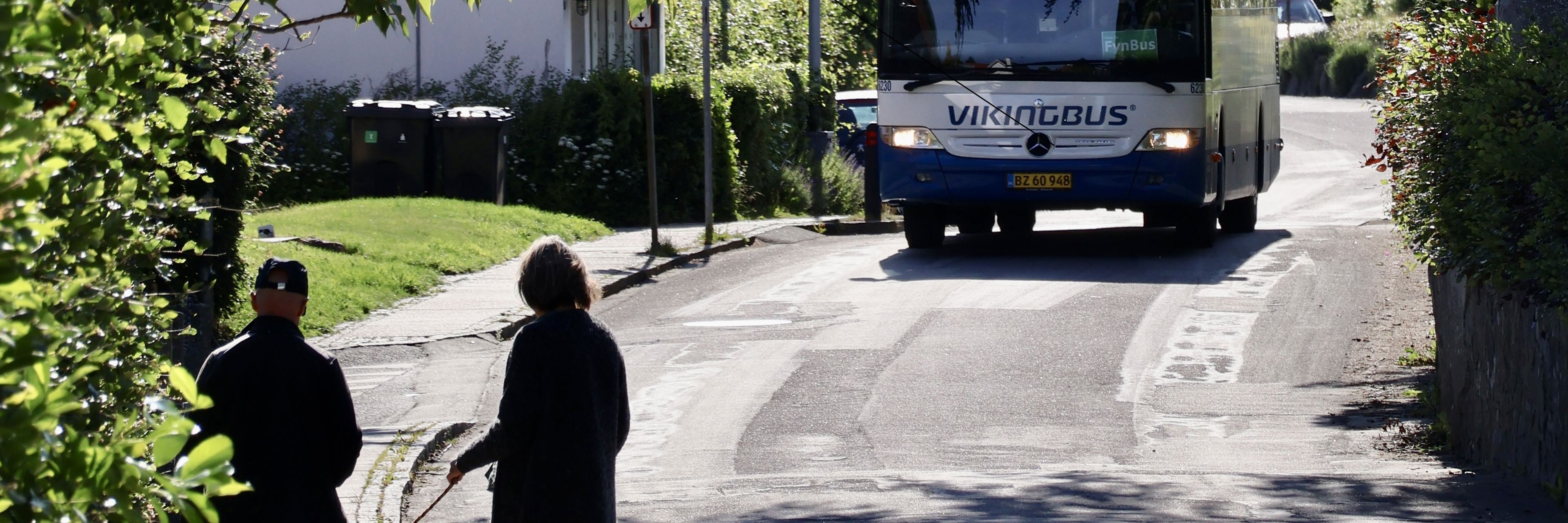 Bløde trafikanter, som lufter hunde, og en modkørende bus - på Bergmannsvej på Thurø.