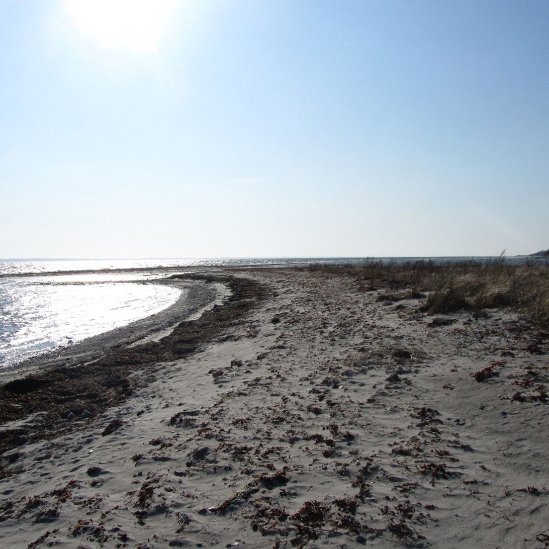 Her ser du et billede af Bøsøre Strand
