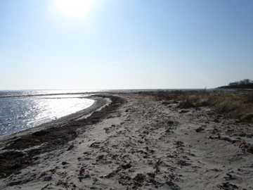 Her ser du et billede af Bøsøre Strand