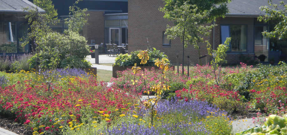 Haven bag Stenstrup Plejecenter