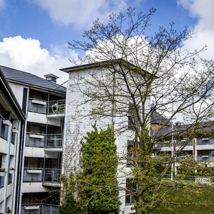 Bryghus Plejecenter Dagscenter gårdsiden