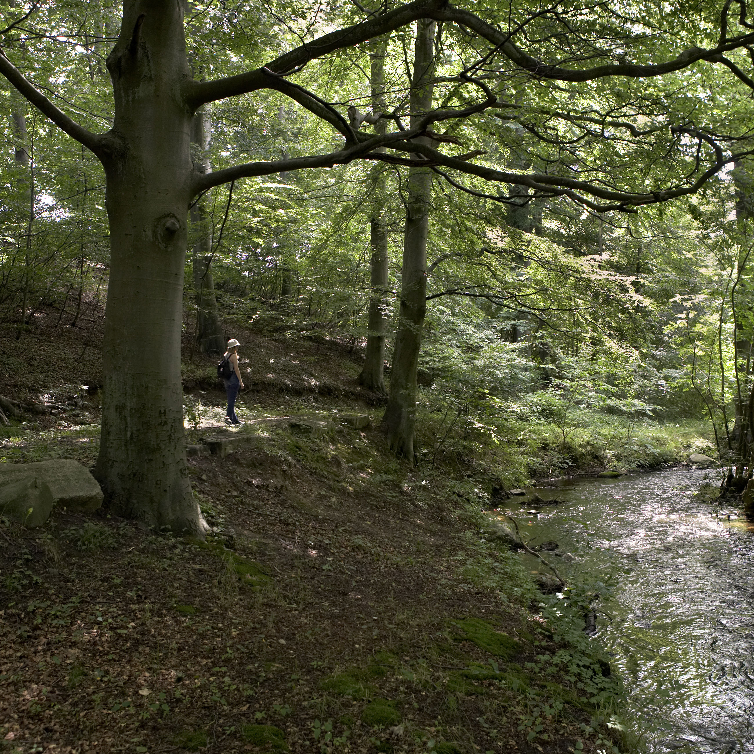 Fordybelse ved Vejstrup Å.