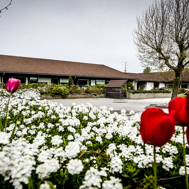 Haven, Thurøhus Plejecenter