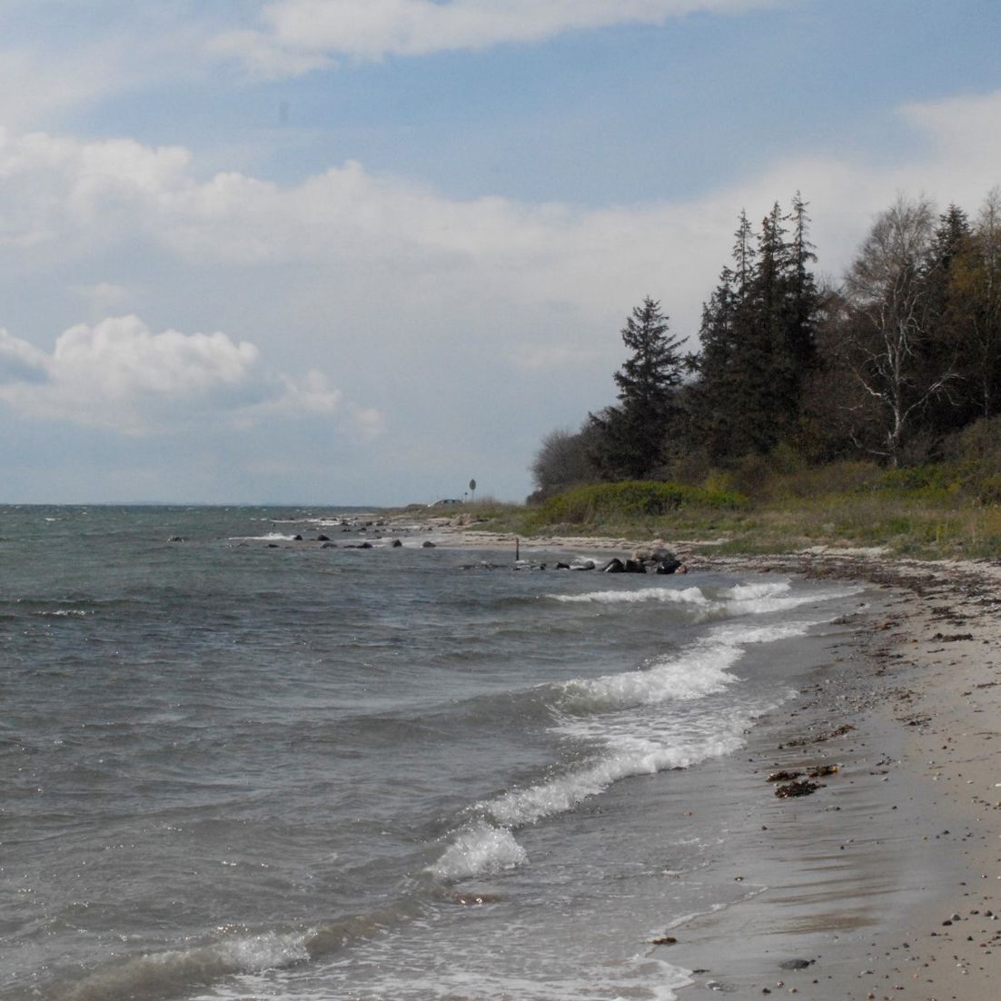 Lehnskov Strand ligger neden for Lehnskov Huse og Fredskov ud til mundingen af Svendborg Sund.