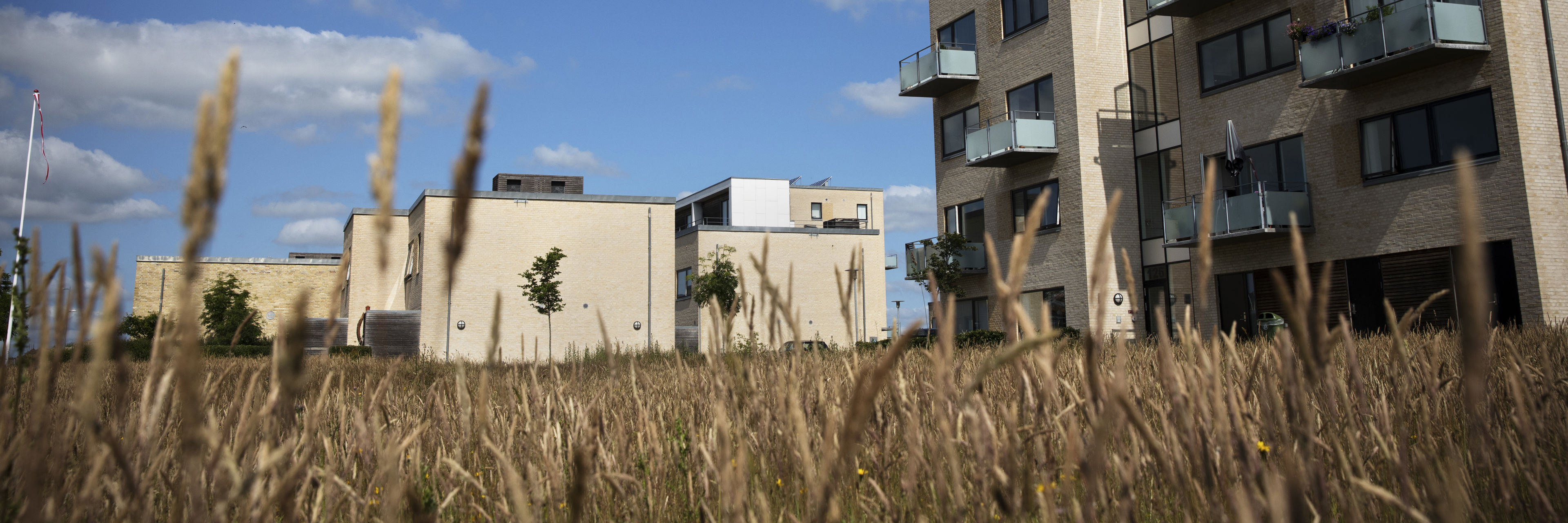 Høje huse med græs i forgrunden