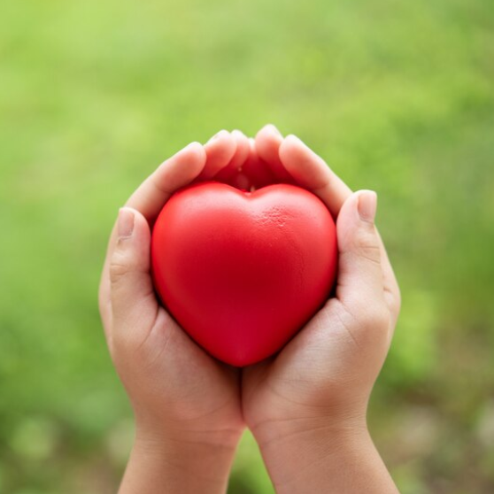 Et par hænder holder et hjerte af skum