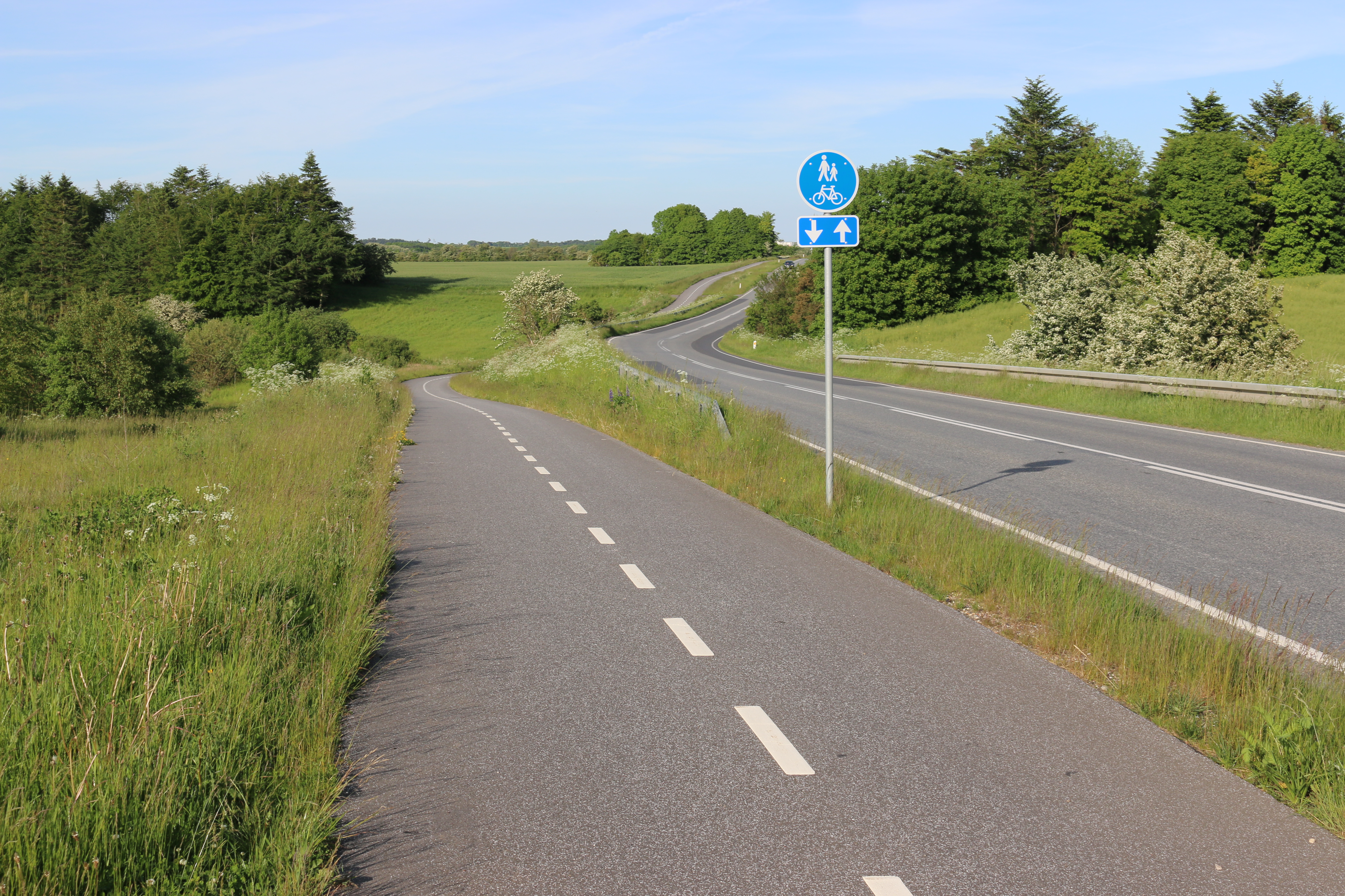 Cykelsti med marker og landlige omgivelser