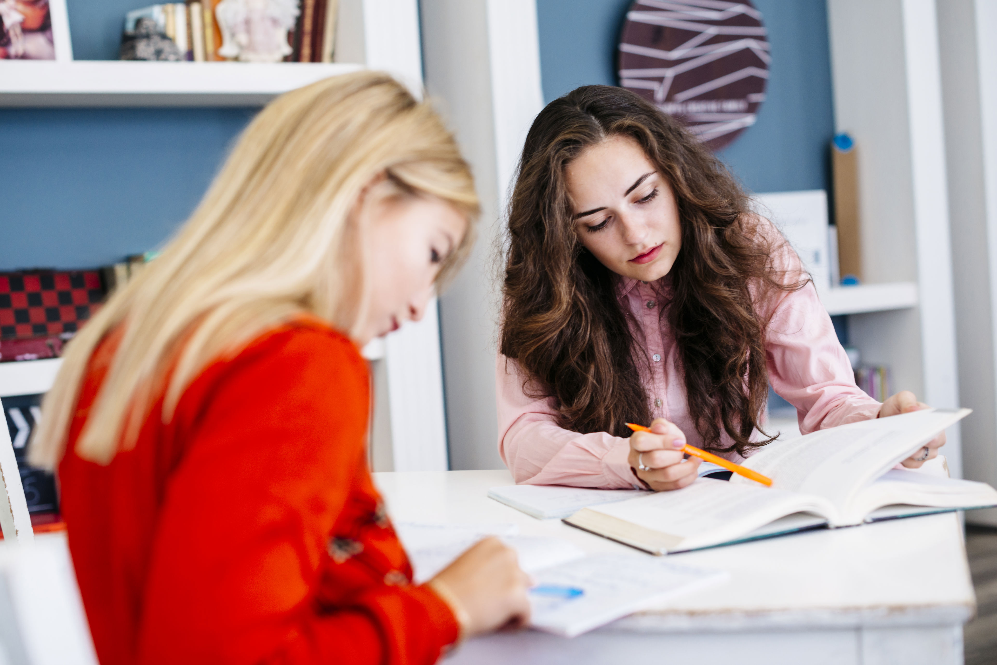 To kvinder kigger i notesbøger
