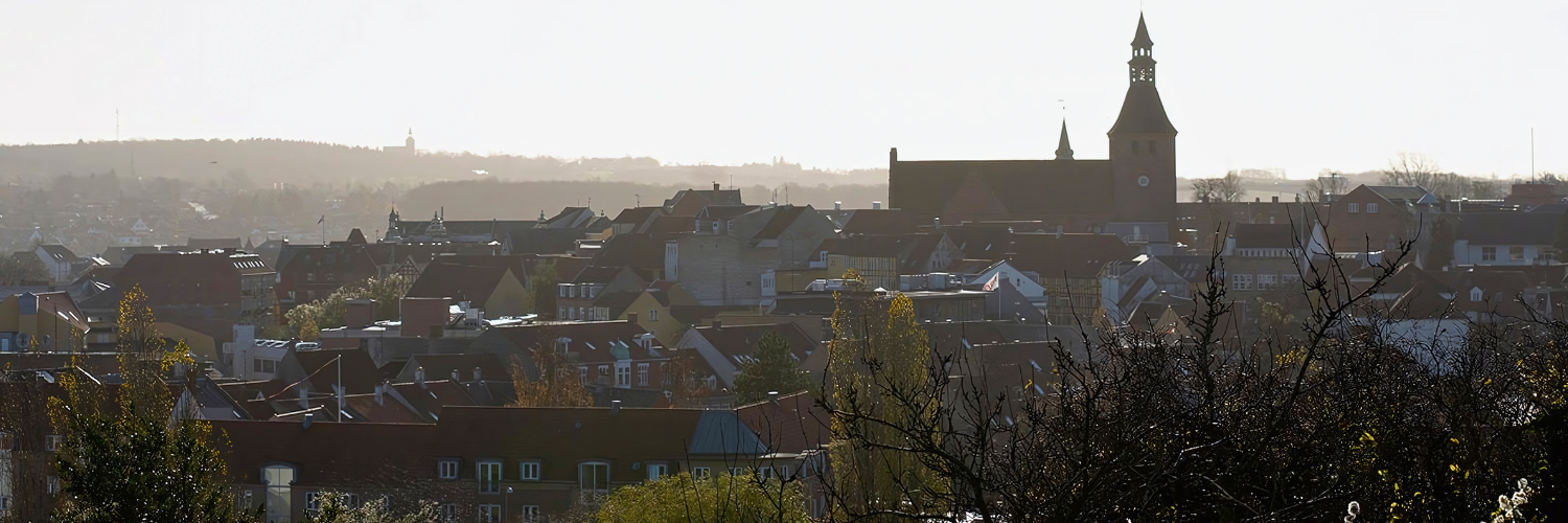 Billede, hvor man ser ud over Svendborg by