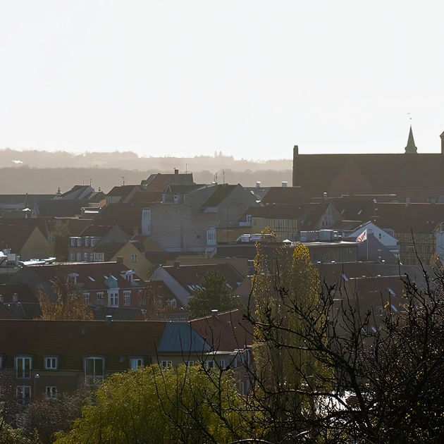 Billede, hvor man ser ud over Svendborg by