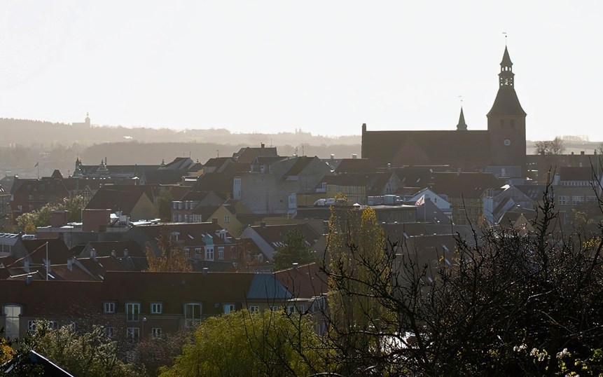 Billede, hvor man ser ud over Svendborg by