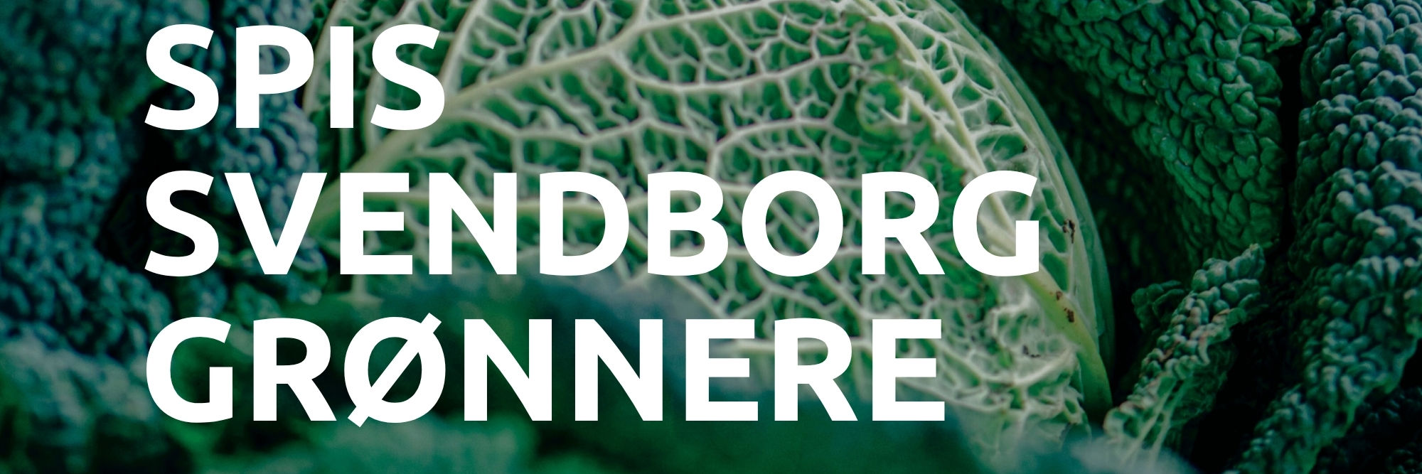 Spis Svendborg grønnere