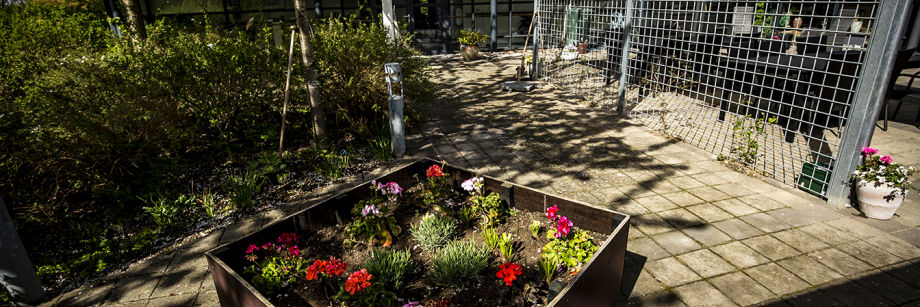 Gårdhaven Trollehøj Plejecenter