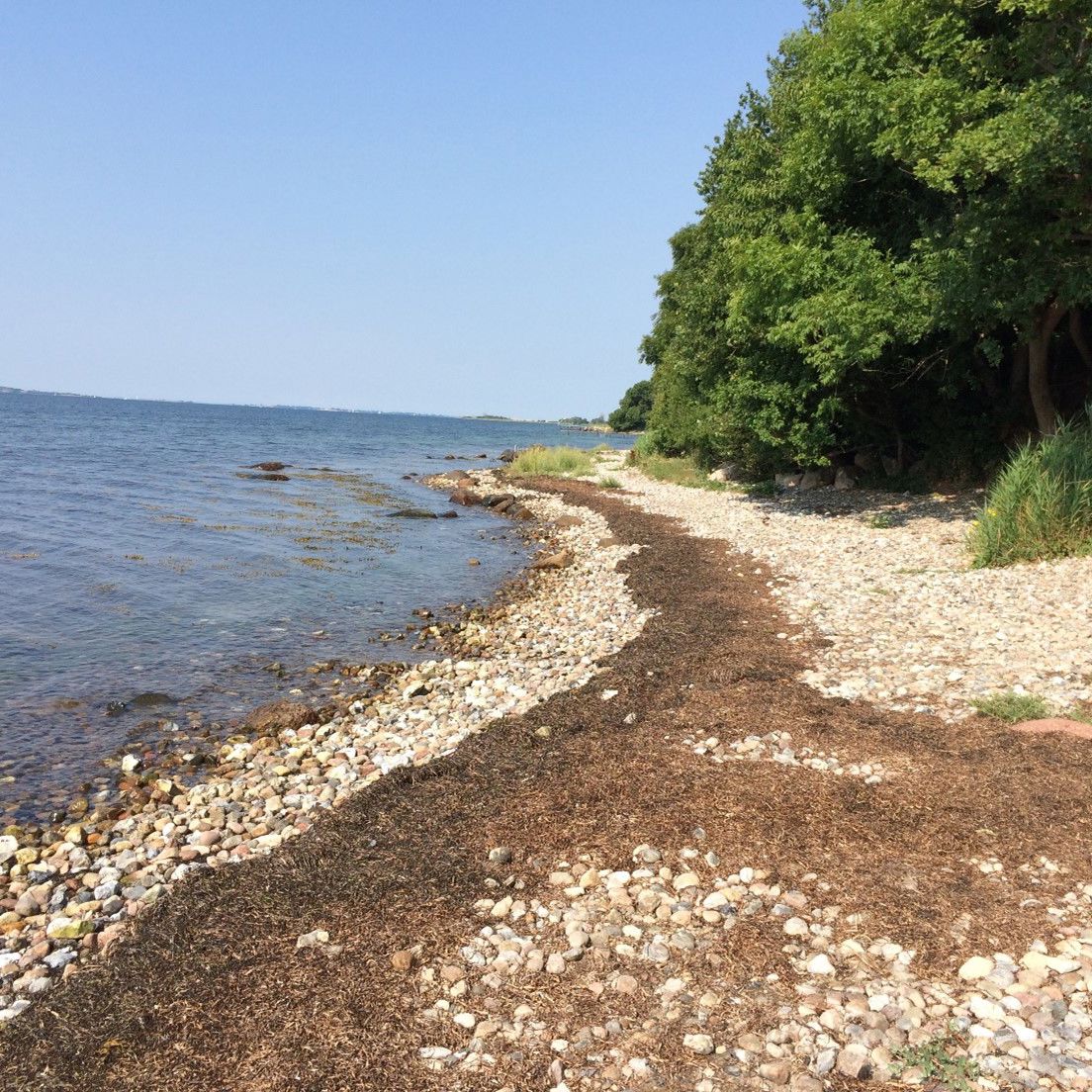 Stranden ved Præstens Skov er en ca. 700 m lang strand med små og større sten.