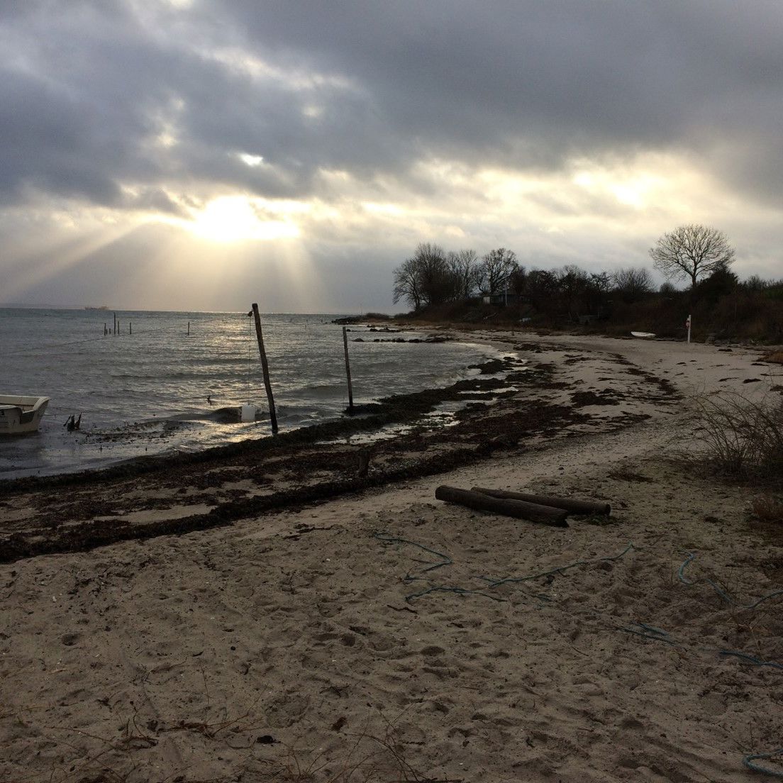 Det meste af stranden fra Revsøre til Bøsøre er fin sandstrand. Havbunden er af fint sand med spredte, mindre sten og lidt tang imellem revlerne.