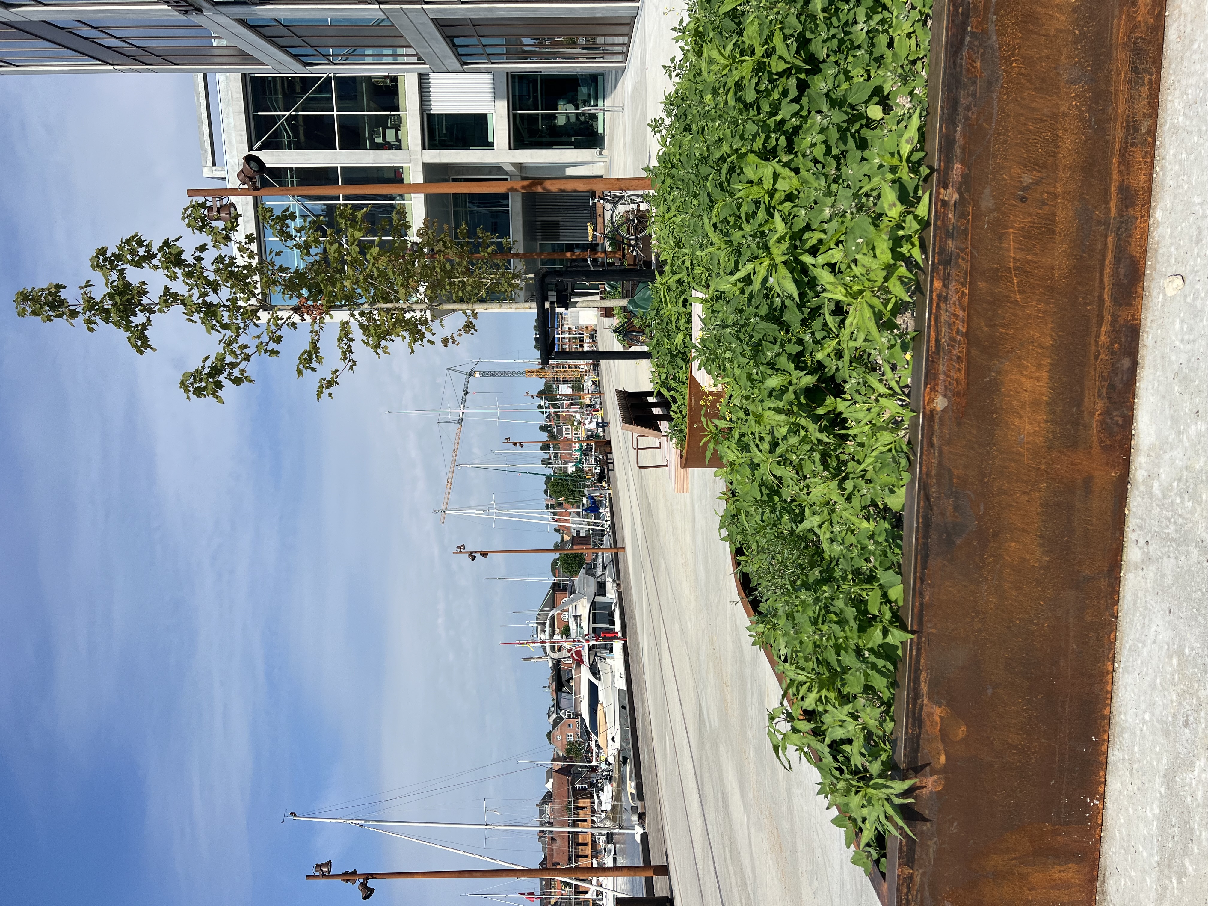 Plantekasser og bænke.