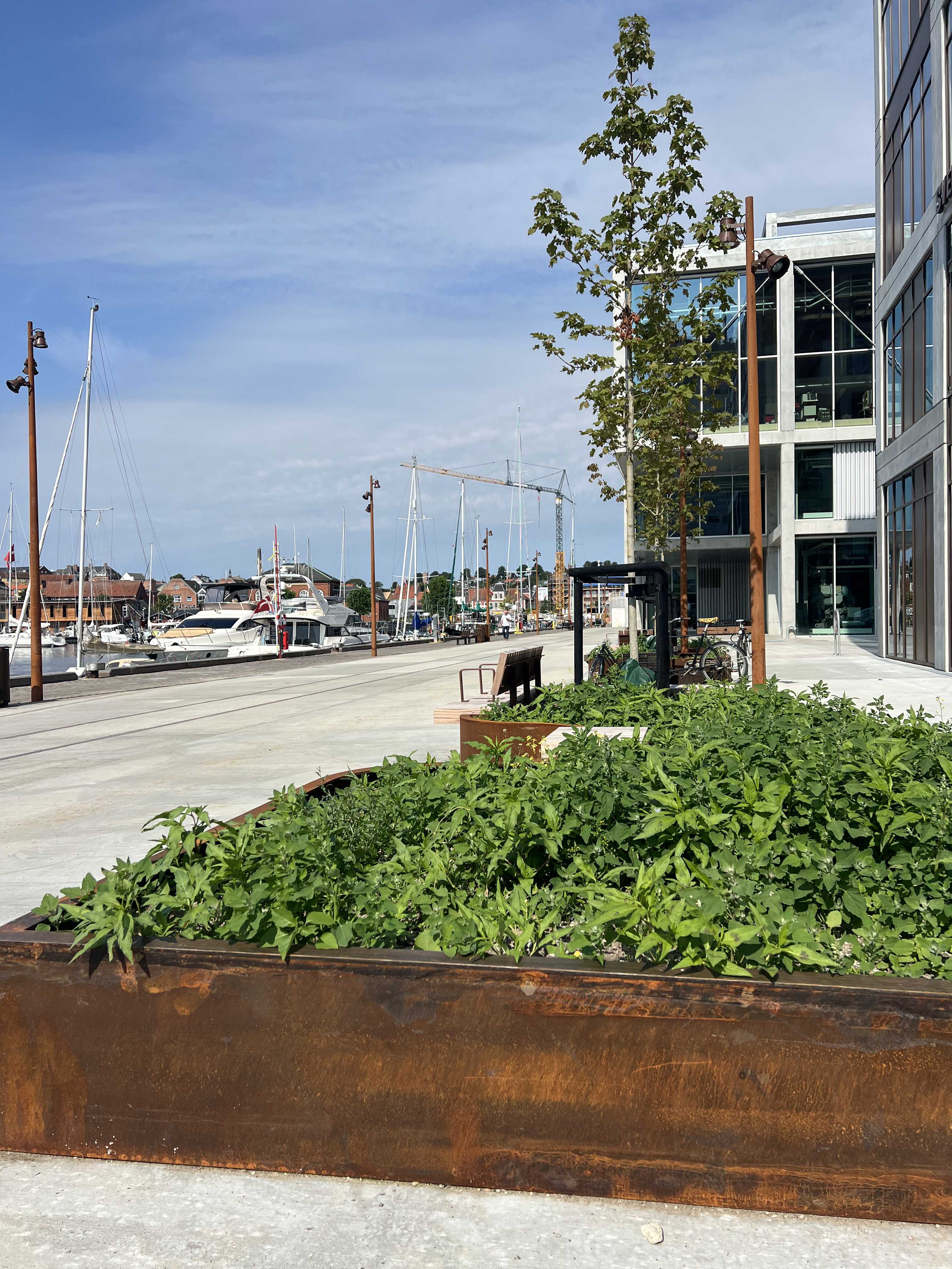 Plantekasser og bænke.