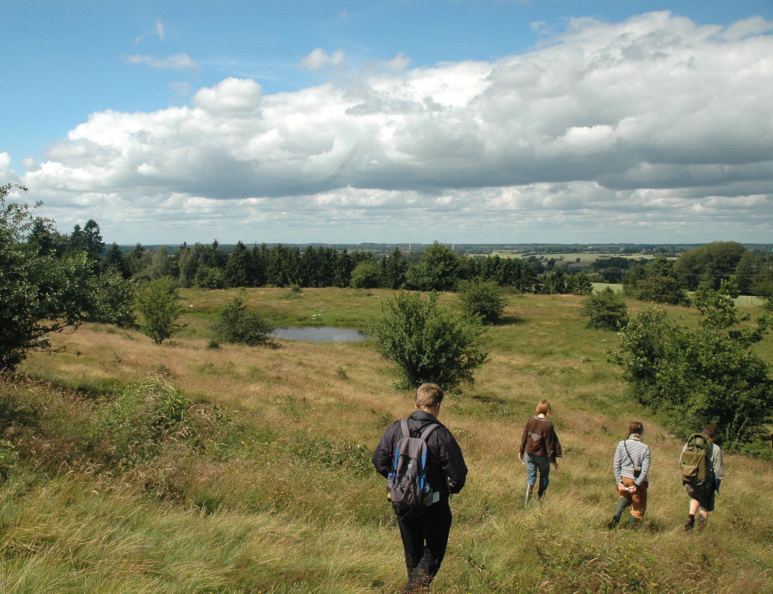 Rødme Svinehaver har aldrig været opdyrket. Græsning gennem flere hundrede år har skabt det artsrige overdrev.