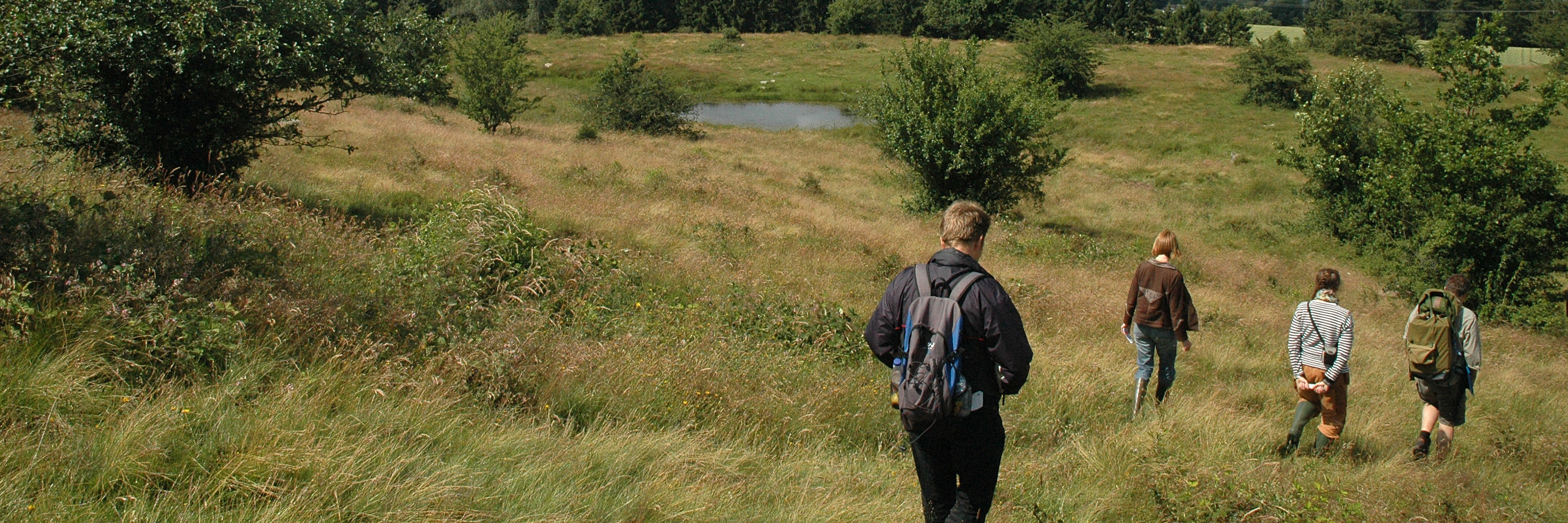 Rødme Svinehaver har aldrig været opdyrket. Græsning gennem flere hundrede år har skabt det artsrige overdrev.