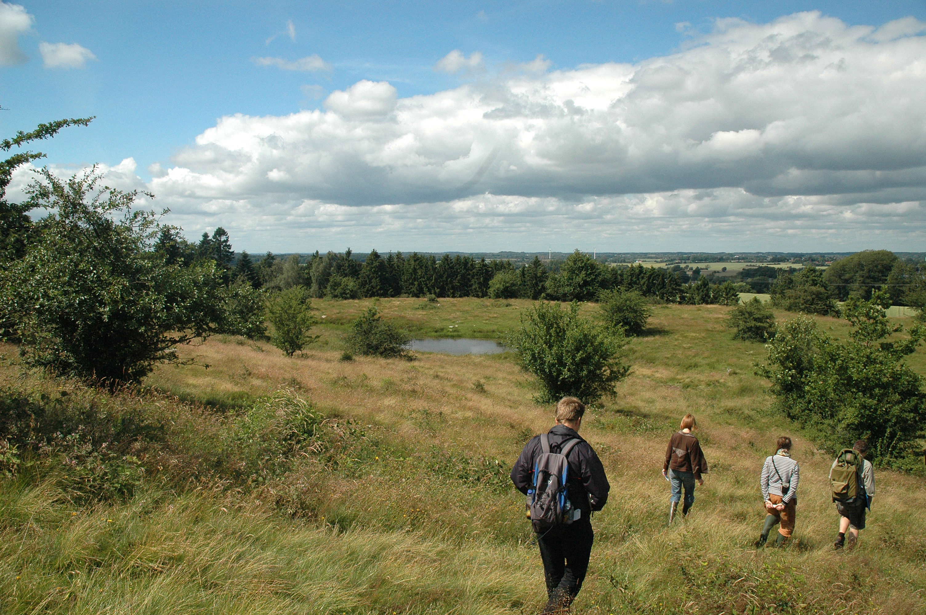 Rødme Svinehaver har aldrig været opdyrket. Græsning gennem flere hundrede år har skabt det artsrige overdrev.