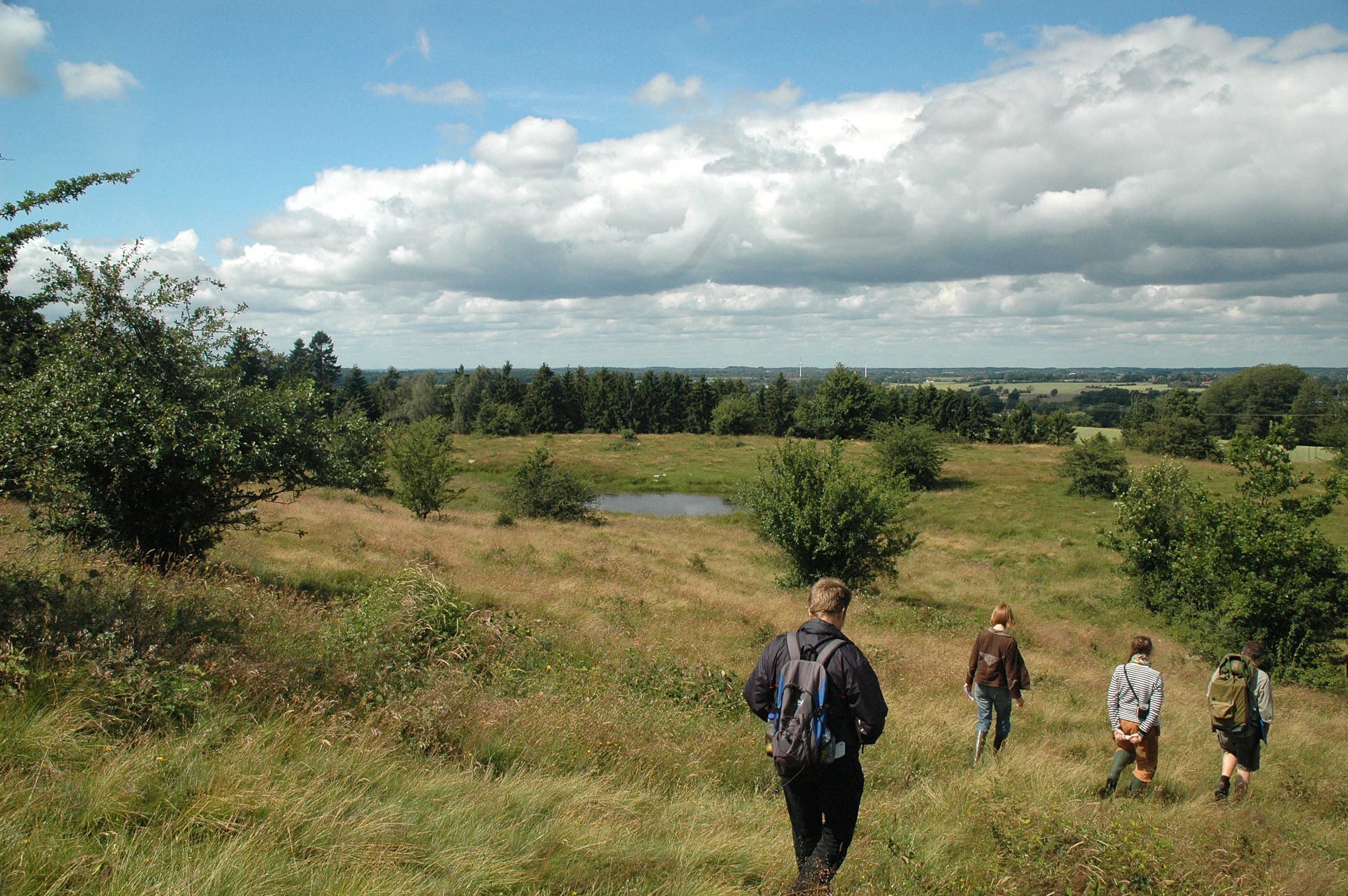 Rødme Svinehaver har aldrig været opdyrket. Græsning gennem flere hundrede år har skabt det artsrige overdrev.
