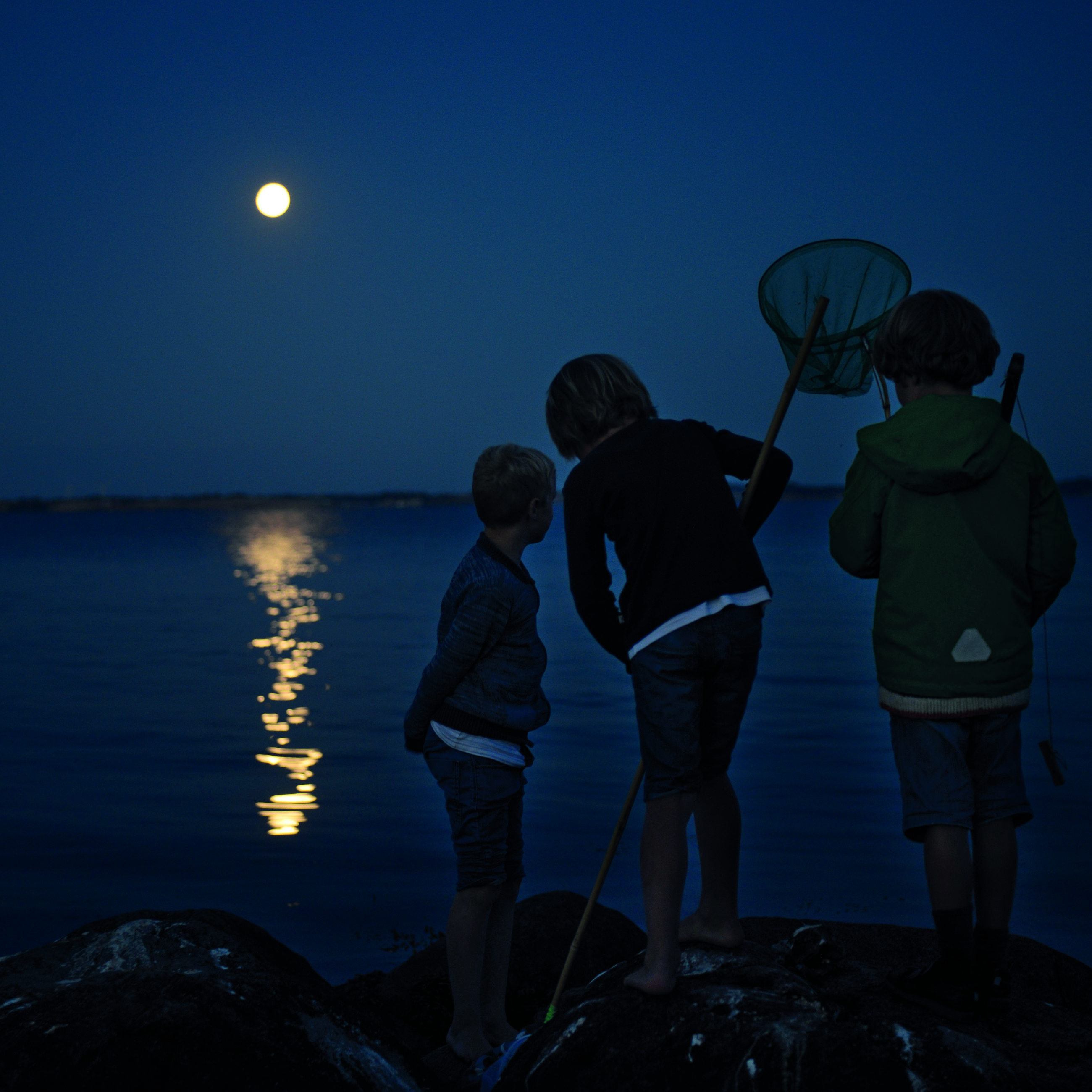 En sommernat i måneskin ved Elsehoved.