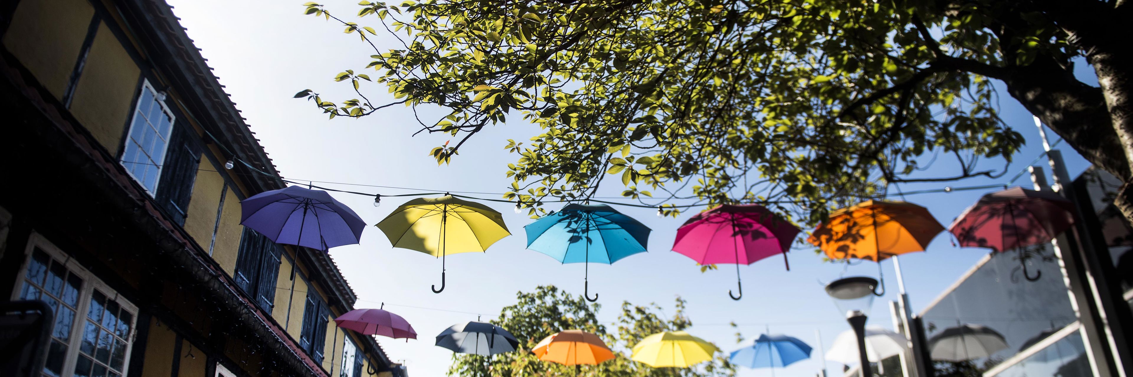 Paraplyer, der hænger i gågade