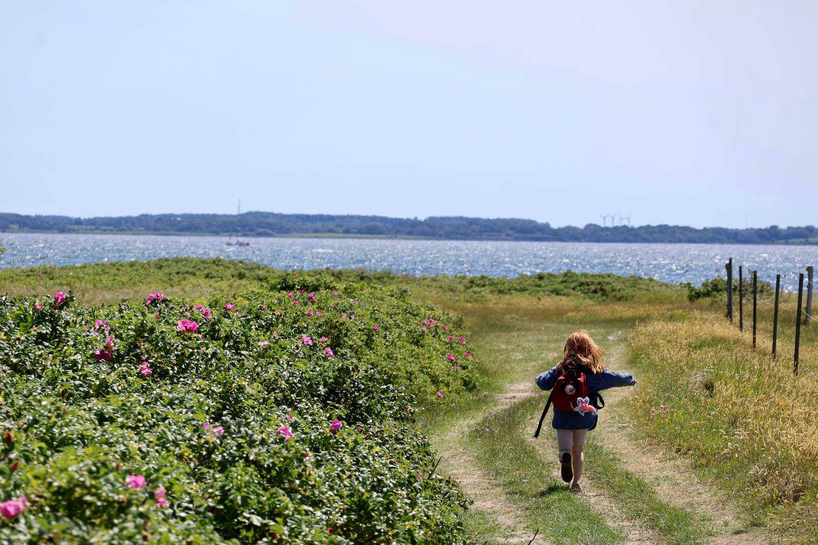 Barn, der løber ud mod vandet ved Thurø Rev