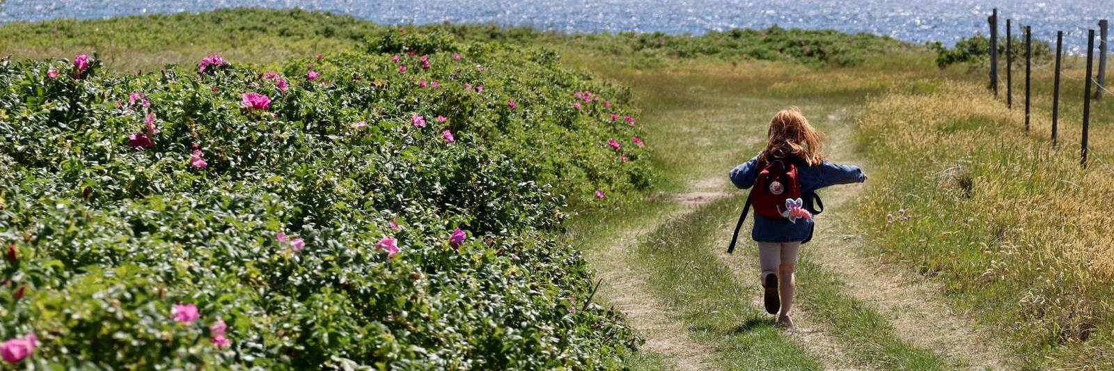 Barn, der løber ud mod vandet ved Thurø Rev