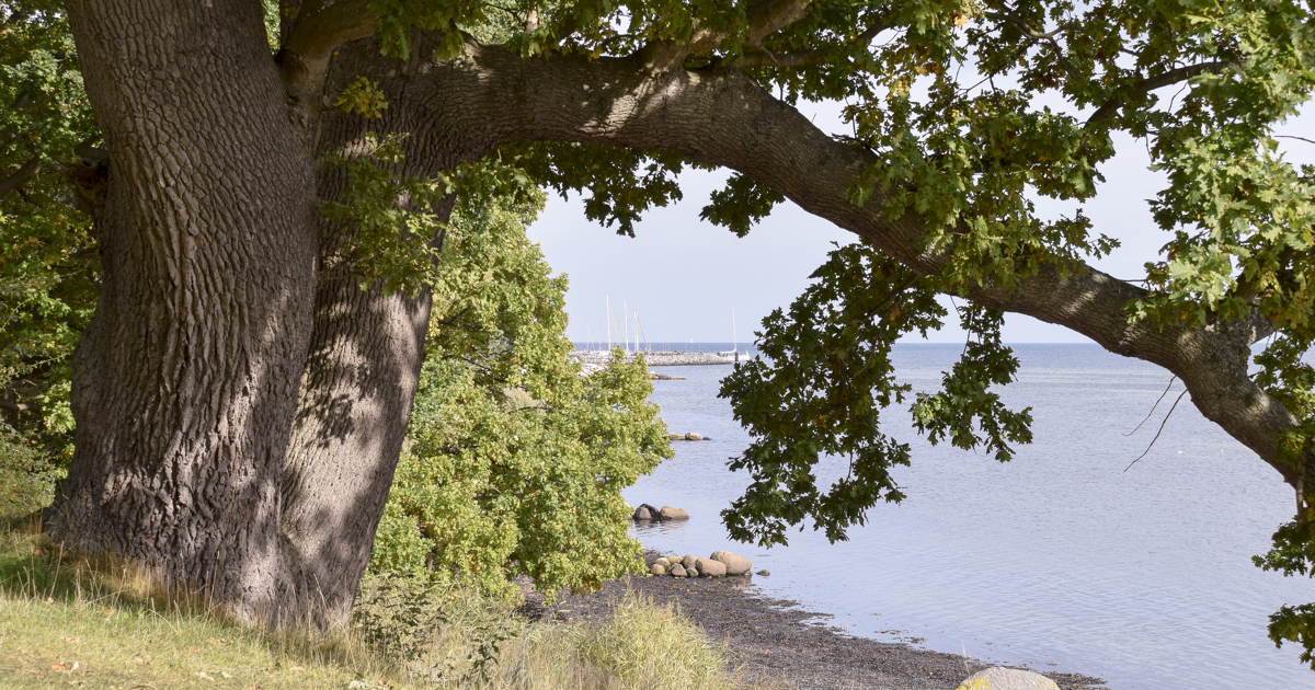 Vejarbejde p tvedvej svendborg kommune