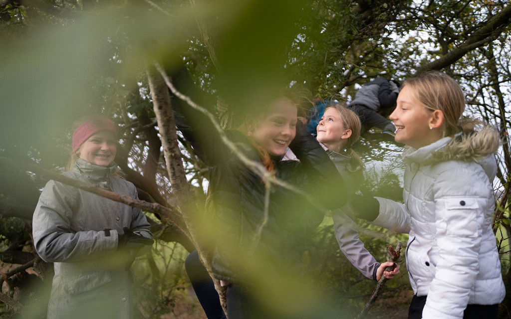 Børn leger i træ
