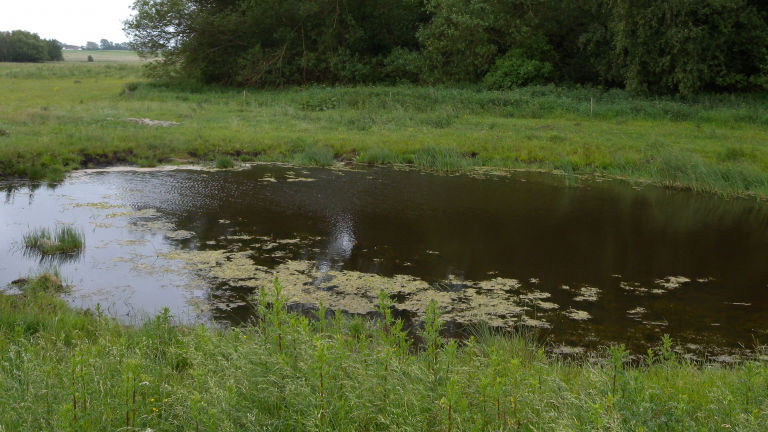 En sø