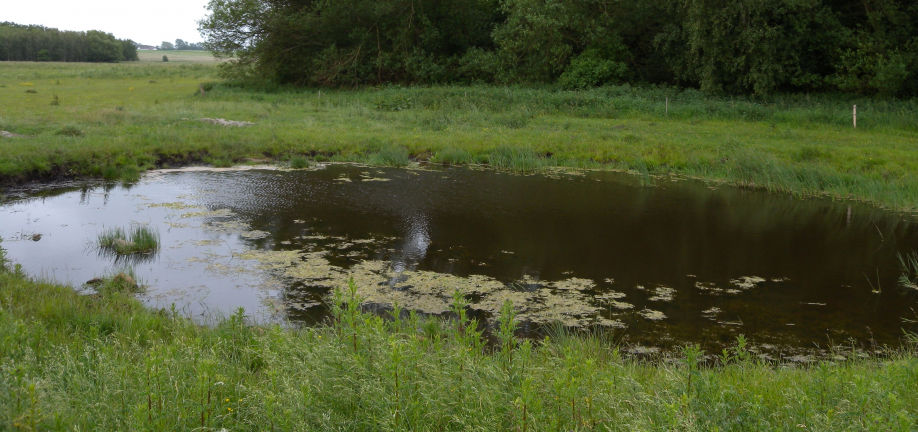 En sø