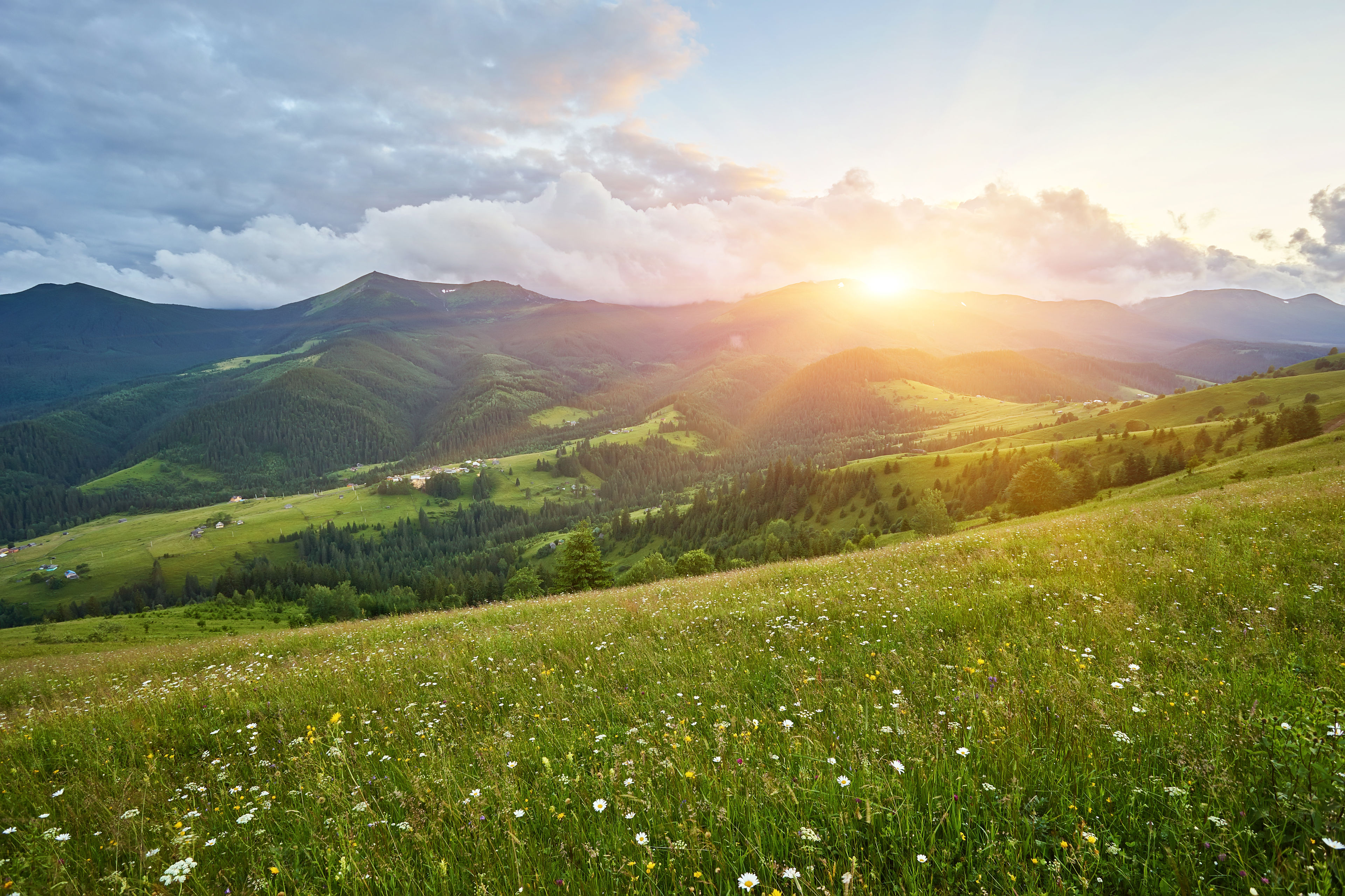 Sommer landskab med udsigt til bjerge og solnedgang