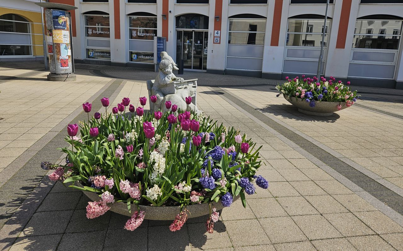 En kumme med forårsblomster foran indgangen til en stor bygning, der er hvid og rød.
