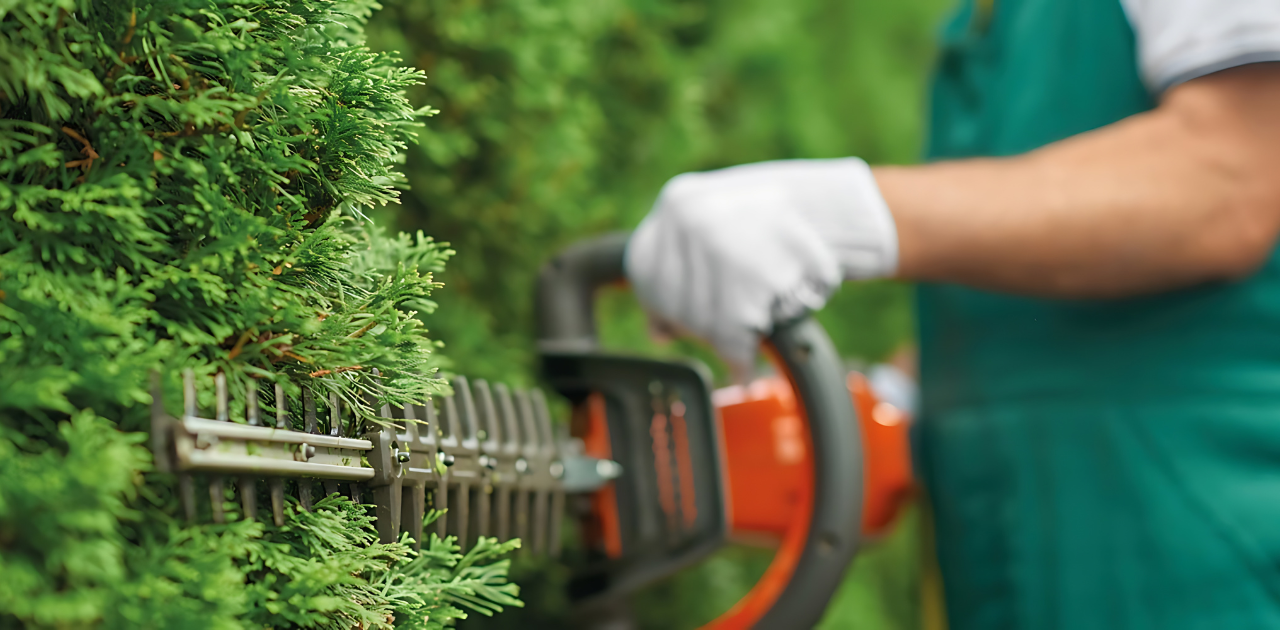 Mand klipper en hæk med en hækkeklipper