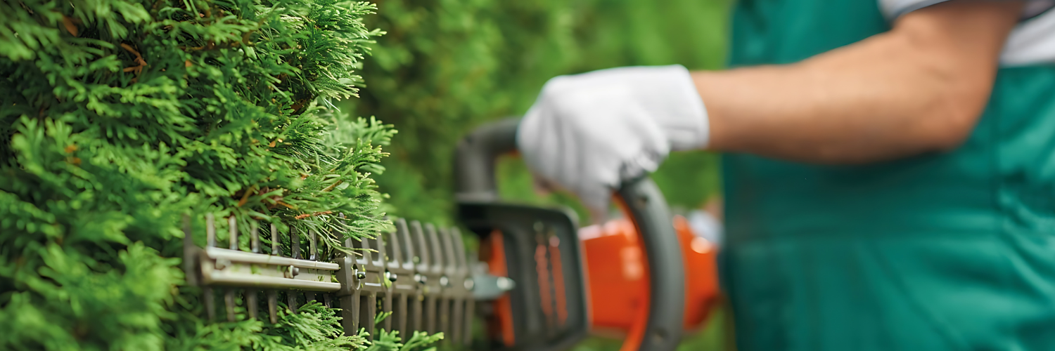 Mand klipper en hæk med en hækkeklipper