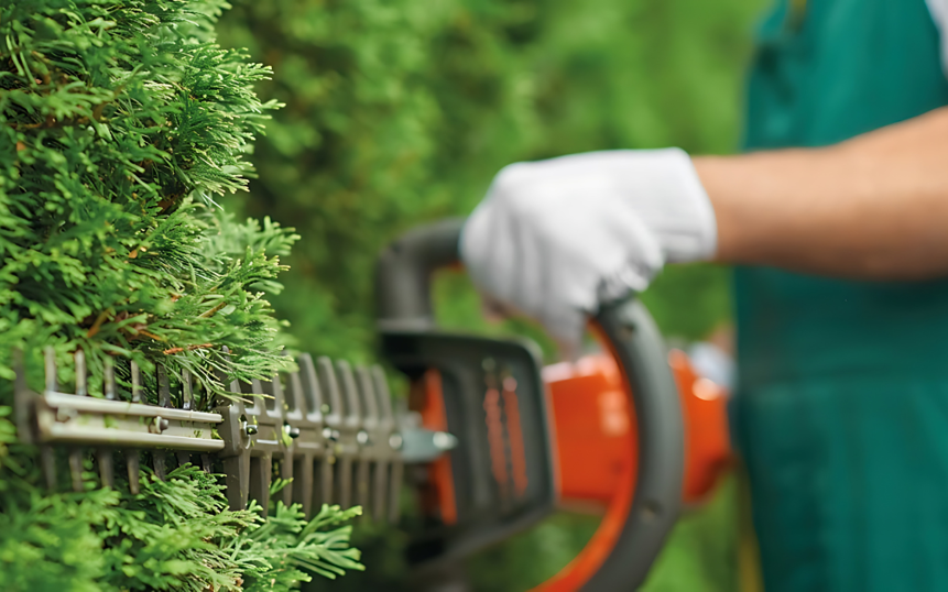 Mand klipper en hæk med en hækkeklipper