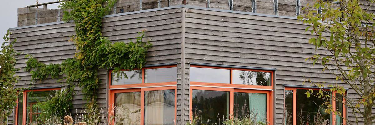 Moderne træhus med vild beplantning foran og klatreplanter