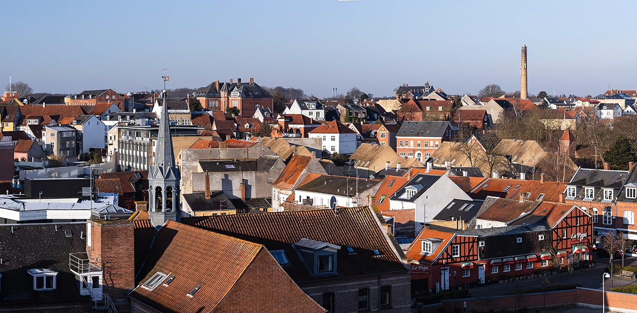 Billede over Svendborg by